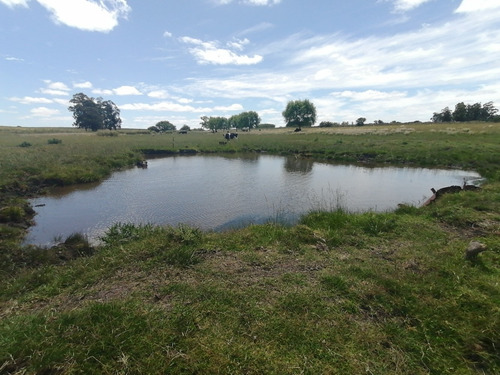 Imagen 2 de 14 de Campo A La Venta - Ruta 65 Km 90 - 11 Has . Índice Coneat 156, Ute Y Ose A 350 Mts.