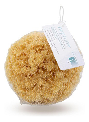 Esponja Natural Del Mar Caribe Neptune 18 Cm