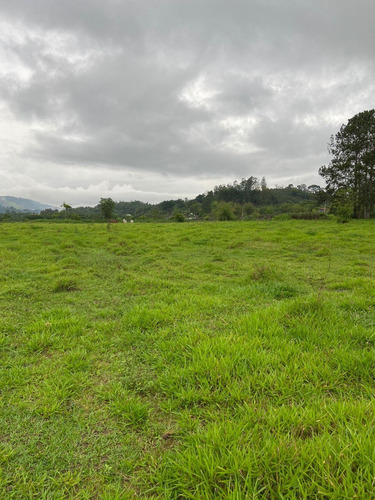 Imagem 8 de 14 de S01- 1.000m² Apenas 49.990 /100% Plano