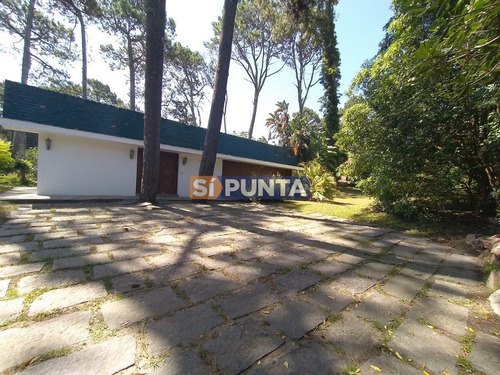 Imagen 9 de 30 de Zona De San Rafael Próximo A Punta Shopping