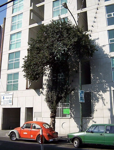 Imagen 10 de 10 de Venta/ Renta Departamento En San Pedro De Los Pinos Con Balc