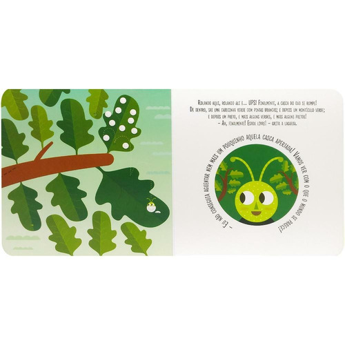 Montessori Meu Primeiro livro... O Nascimento de uma Borboleta (Escolinha), de Piroddi, Chiara. Editora Todolivro Distribuidora Ltda. em português, 2020