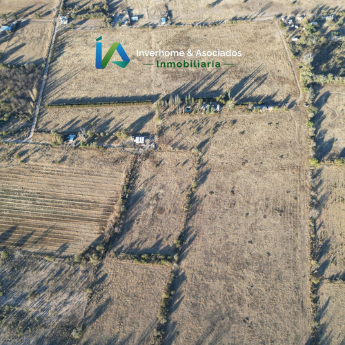 Campo En San Pedro