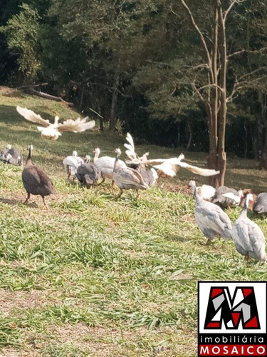Imagem 4 de 8 de Terreno Medindo 1150 M² Condomínio Fechado Pronto Para Construir, Leve Declive, Aceita Permuta. - 30899 - 69368752