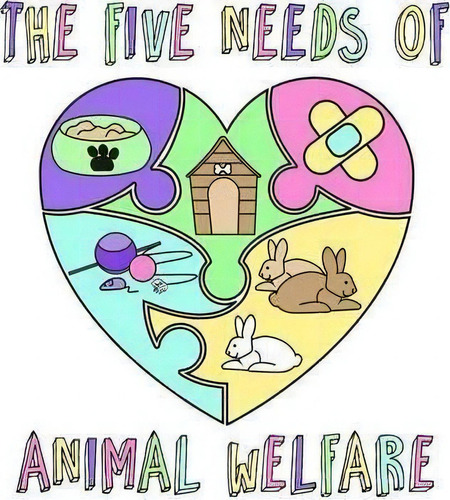 The Five Needs Of Animal Welfare, De Nicola Gothard. Editorial Generation 2050, Tapa Blanda En Inglés