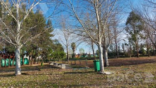 Imagen 10 de 11 de Venta Terreno En Pinares Del Sur - Oportunidad