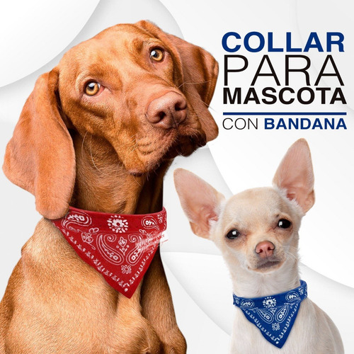 Collar Para Perro Gato Pañuelo Paliacate Tamaños Er Color Negro Tamaño Del Collar Mediana Er-1.5