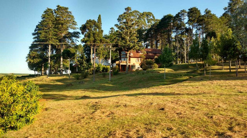 Fazenda Com 290 Hectares Para Pecuária E Lazer Em Gramado Rs