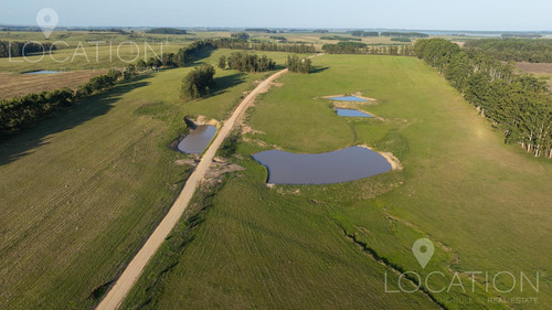 Venta Campo 73 Has Altos De Jose Ignacio