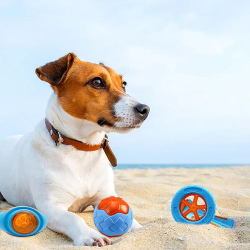 Pool Toys Juguetes De Agua Para Perros Juego De 4 Piezas
