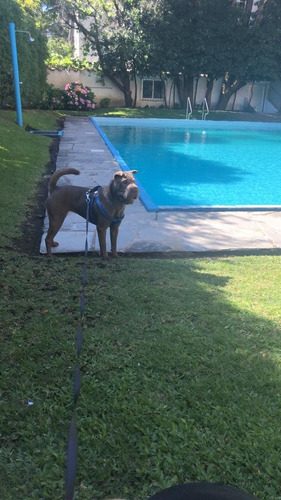 Imagen 13 de 13 de Apartamento Luminoso Con Piscina En Punta Del Este Roosvelt