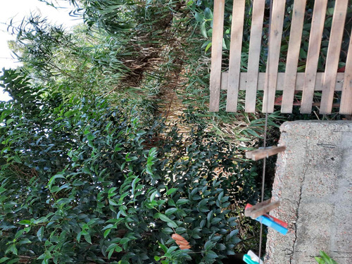 Vendo Casa Modesta Techo Liviano Gran Terreno