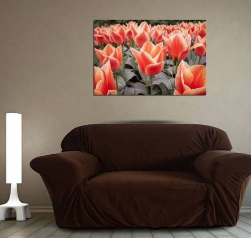 Cuadro 50x75cm Tulipanes Rojos Naturaleza Flor