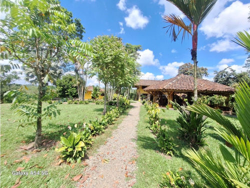 Venta Finca Hotel Tebaida Quindio Colombia Cod: 8431951