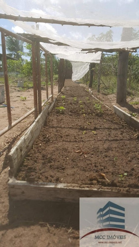 Imagem 20 de 21 de Granja A Venda Em Pium