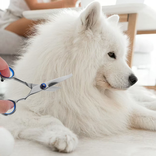 // Tijeras De Peluquero Para Mascotas, Antióxido, 1 Unidad