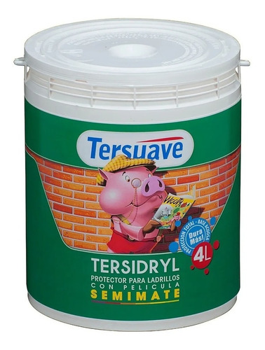 Tersidryl Ladrillos Al Agua C/pelicula Semimate 4 L Dimensio