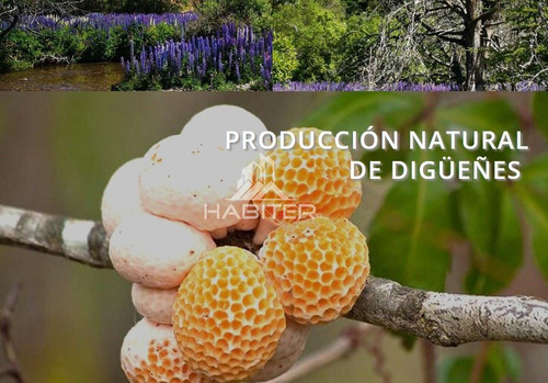 Agrícola En Venta En Coihaique