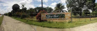 Terreno en renta