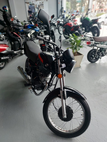 Imagen 6 de 17 de Zanella Rx 150 Z7 - Unico Moto Canning