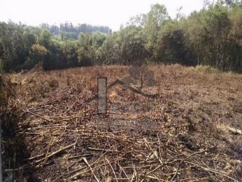 Imagem 2 de 2 de Cód 1312 - Terreno De 1000 M² Totalmente Plano, - 1312