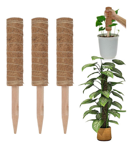 3x Varillas De Soporte De Escalada De Extensión De Planta