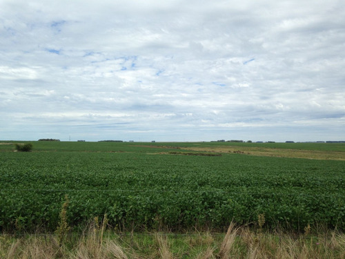 Campo Ganadero, Agrícola En Durazno Ref. 3787