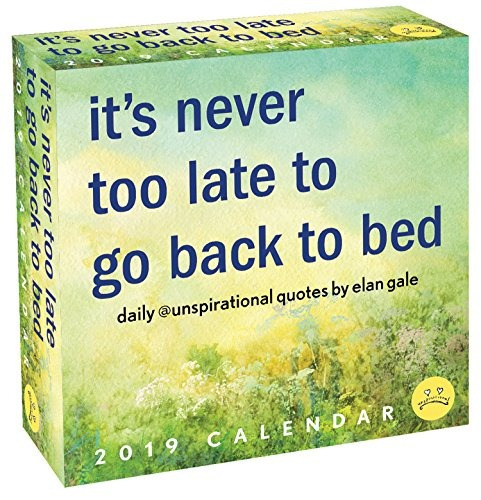 Unspirational 2019 Daytoday Calendar Its Never Too Late To G