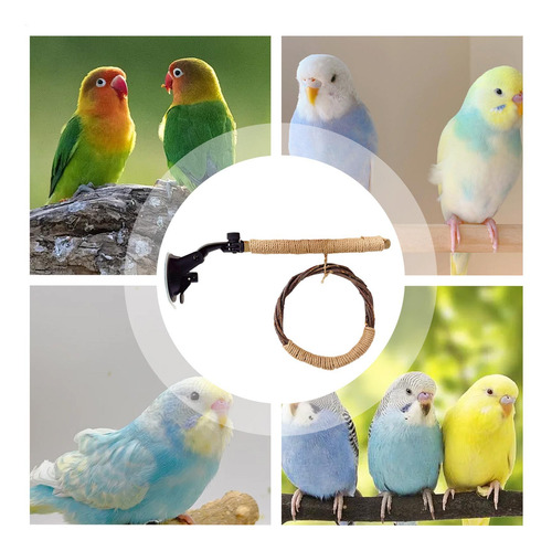 Juguete Con Soporte Para Percha Para Pájaros Juguetes Para M