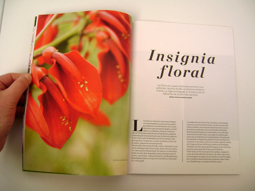 Revista Jardin 108 Primavera 2018 Terapia Horticola Boedo (Usado)