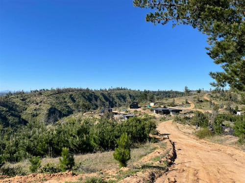 Sitio En Venta En Matanzas (incluye Tiny Cabin)