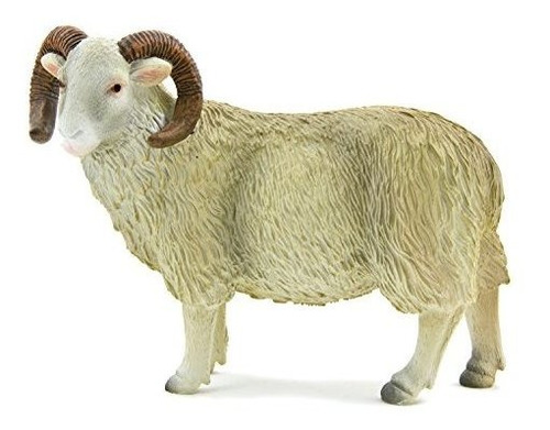 White Face Curly Horn Sheep (ram) De Mojo