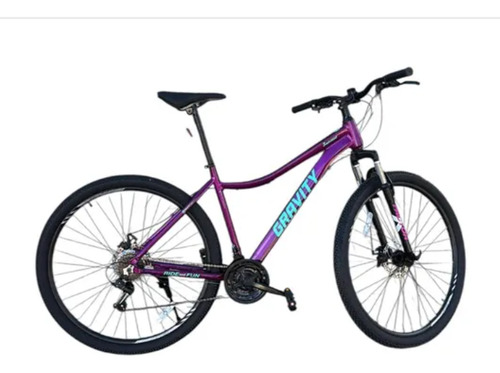 Bicicleta Mountain Bike R29 Cambio Shimano Dabobm Gravity Violeta M/l