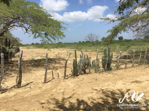 4,515 Tareas En La Zona De Montecristi