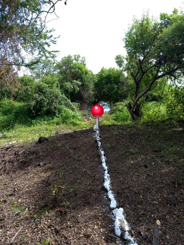 Imagen 11 de 14 de Terreno En El Tequesquitengo Morelos