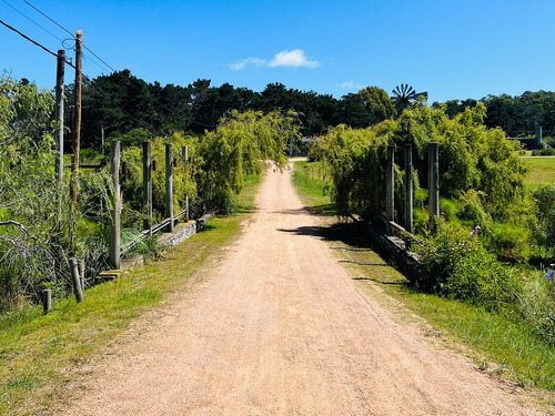 Terreno De 650m² A Metros Del Mar En Punta Del Este, Sobre Ruta 10