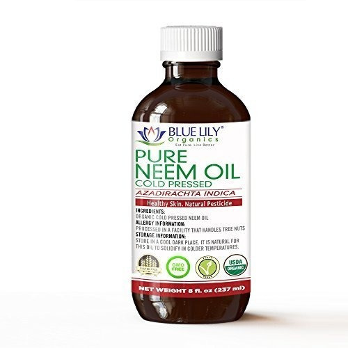 Blue Lily Organics Neem Oil 8 Fl Oz Usda Certified Organic P