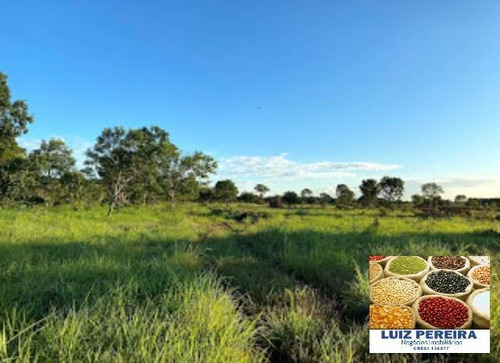 Imagem 10 de 15 de Fazenda A Venda No Formoso Do Araguaia-to-de 240 Alqueirões (dupla Aptidão) - 1669