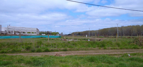 Imagen 6 de 8 de 1800 Mts Con Frente A La Ruta Y Frente Al Polideportivo De Mar Del Tuyu - Manzana 601