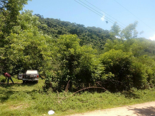 Imagen 7 de 7 de Terreno - San José Chiltepec