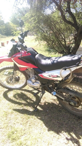 Motomel Skua Skua