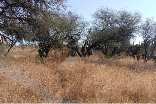 Lote 13 Terreno Campestre En Venta En Aldea Cantalagua, San Miguel De Allende