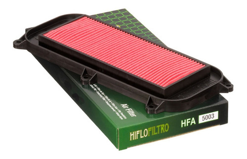 Filtro Aire Kymco Grand Dink 250 Hiflofiltro Hfa5003 Ryd