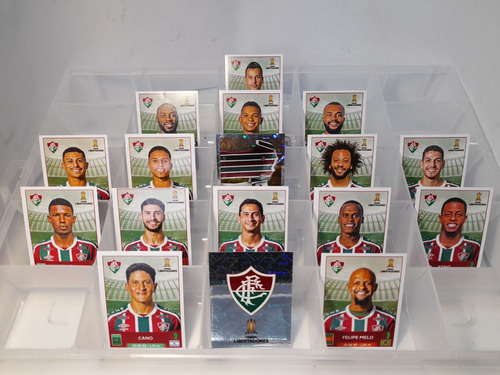 Copa Libertadores 2023 Panini - Equipo Completo Fluminense