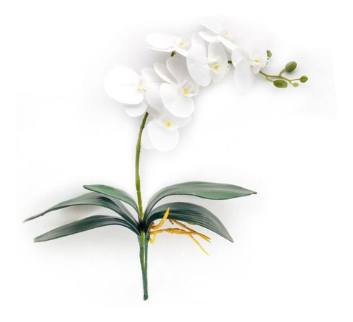 Orquidea Branca Com Folha E Raizes Artificiais Silicone | Parcelamento sem  juros