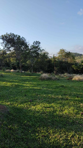 Imagem 10 de 14 de 49) Seu Terreno Está Aqui! Agende Uma Visita E Vem Conferir!