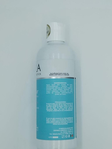 Shampoo Detox Capilar Espinela Hidrata Suaviza Y Reconstruye