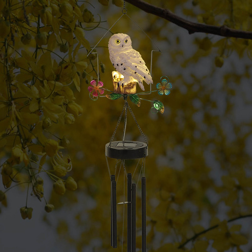 Luces Alimentadas Por Energía Solar Luz Solar Squirrel