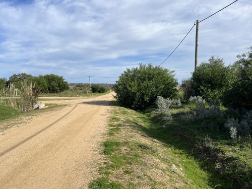 Terreno En Venta En El Tesoro