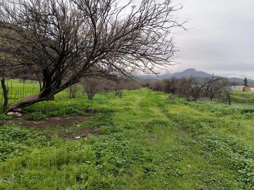 Terreno Uso Comercial